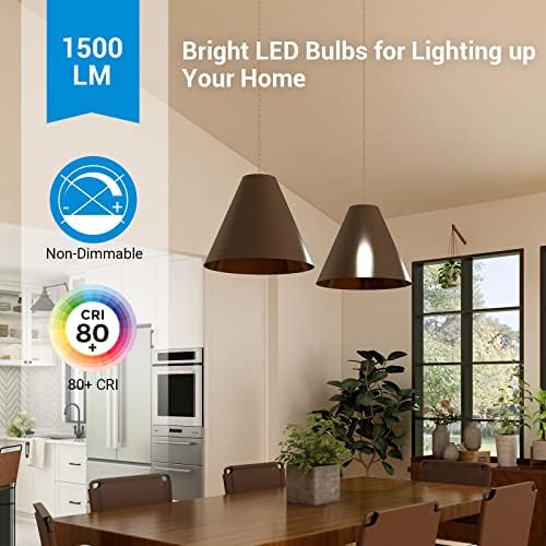 Led лампа DEWENWILS 4-Pack A19, 1500ЛМ, мека Приятна светлина 3000 До Энергосберегающая led крушка с мощност