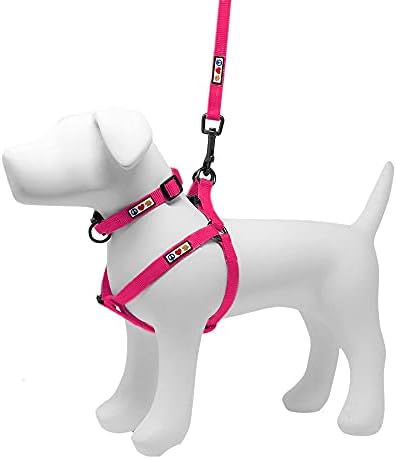 Комплект Pawtitas Value Пакет Set | Стъпка в Кучешки Изделия + Малък Нашийник за кучета + Много Малка / 6 фута